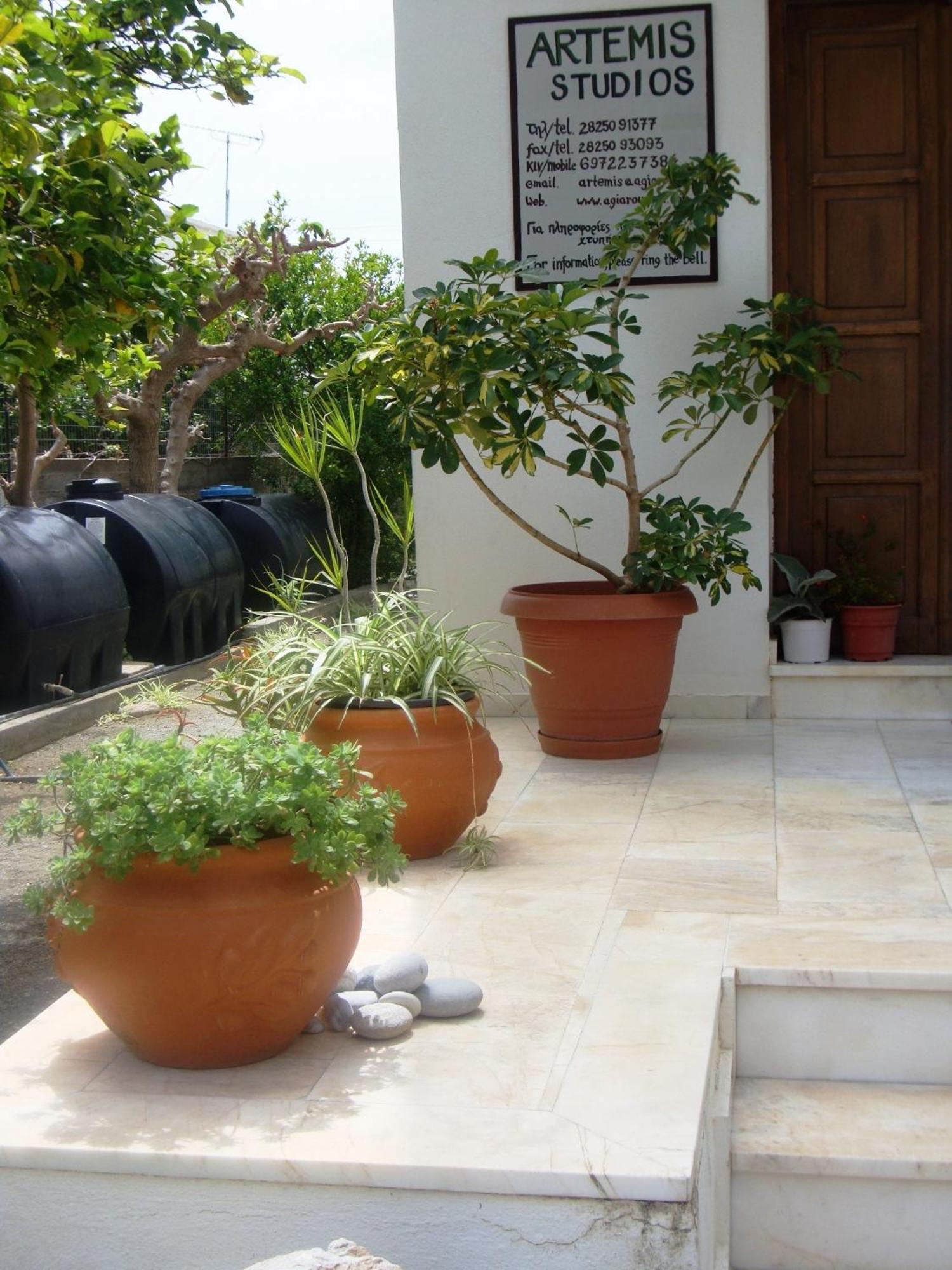 Artemis Studios أجيا روميلي المظهر الخارجي الصورة