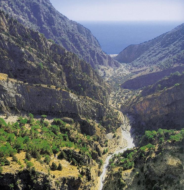 Artemis Studios أجيا روميلي الغرفة الصورة