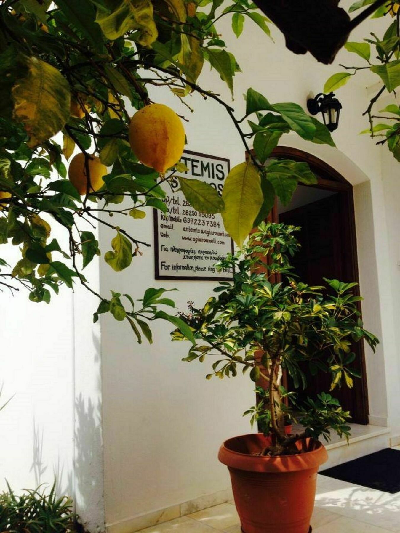 Artemis Studios أجيا روميلي المظهر الخارجي الصورة